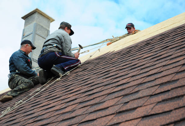 Best Roof Waterproofing Services  in Churubusco, IN